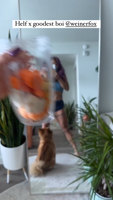 cynthialeu__-1578000109-RNVExWMq.mp4