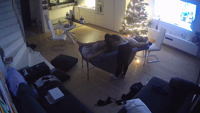 hz_Pv36290-TU2wPNnO.mp4