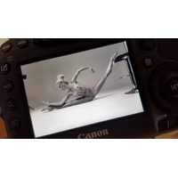 preview_241-hQGonXxk.jpg