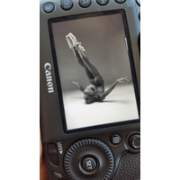preview_244-zyEYtzLZ.jpg